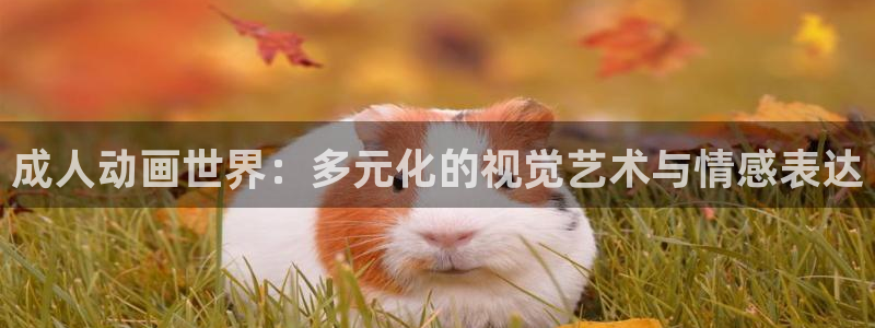 囧次元官方正版：成人动画世界：多元化的视觉艺术与情感表达